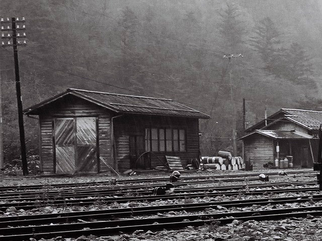 ����ѓS,�ؑ]�X�ѓS��,�厭,��ԏ�W,���[�^�[�J�[