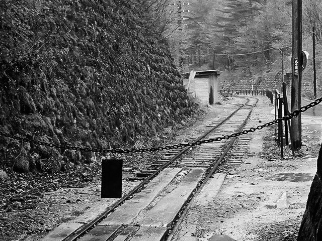 ��12��詓��[�X����