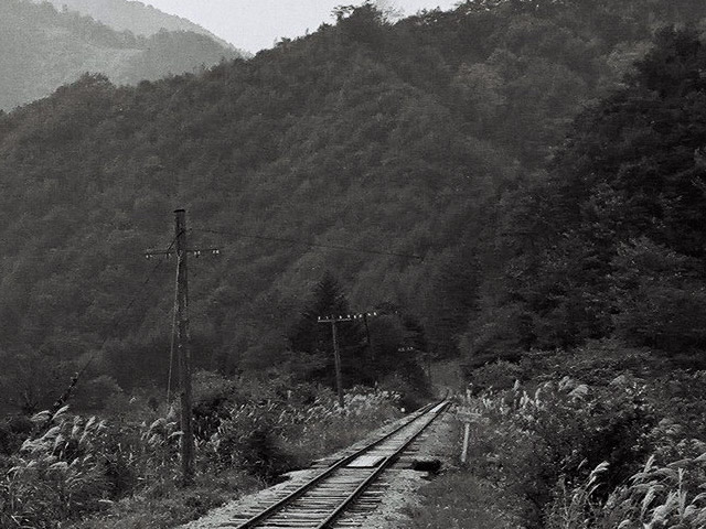 ����X�ѓS���{���u��z�����i��14�������j�v