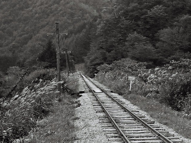 ����X�ѓS���{���u��z�����i��14�������j�v