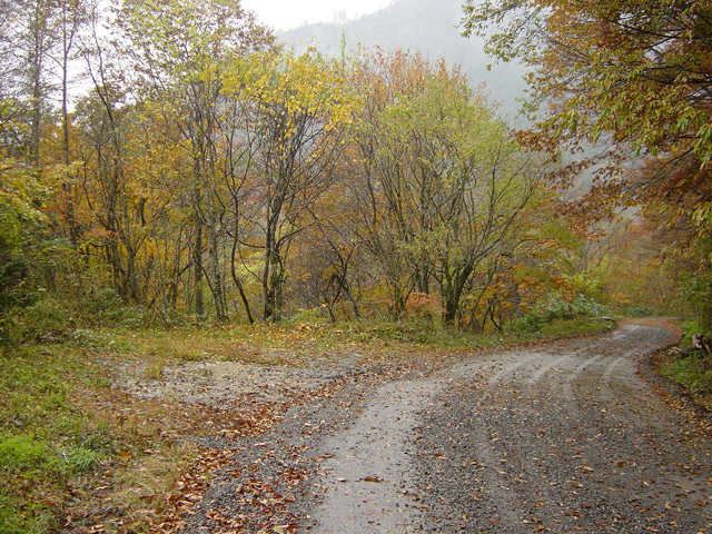 ����X�ѓS��,�ѓS,�p����,�ʐM��,�Ȑ��W,�W��,�ؑ]�X