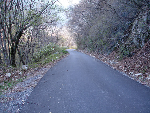 ����X�ѓS��,�ѓS,�p����,�ؑ]�X