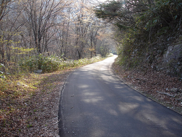 ����X�ѓS��,�ѓS,�֐��d�͐�p��,�ؑ]�X,�p����