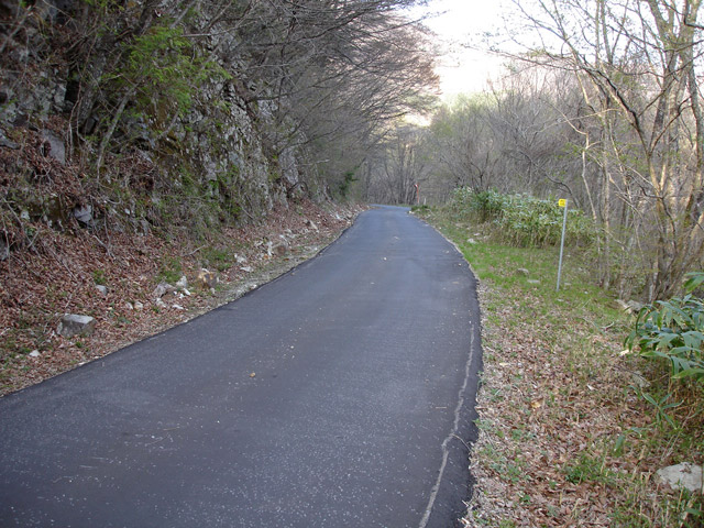 ����X�ѓS��,�ѓS,�֐��d�͐�p��,�ؑ]�X,�p����