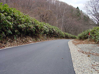 ����X�ѓS��,�ѓS,�֐��d�͐�p��,�ؑ]�X,�p����