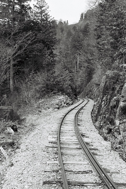 ����X�ѓS��,�ѓS,�I��,�Ȑ��W,���[��,�ؑ]�X