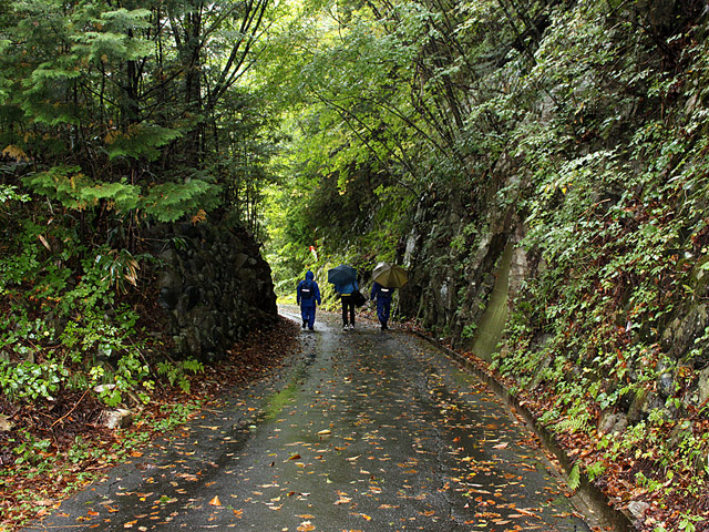 ����X�ѓS��,�ѓS,�I��,�p����,��z�O�Y�ѓ�,�ؑ]�X,�ؒʂ�