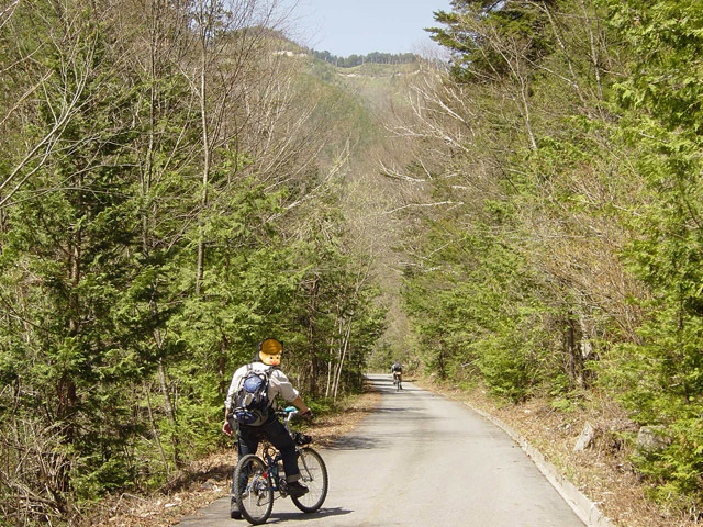 ����X�ѓS���u���I����ԏ�`����m����ԏ�v