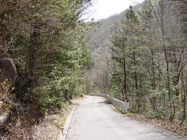 ����X�ѓS���u���I����ԏ�`����m����ԏ�v