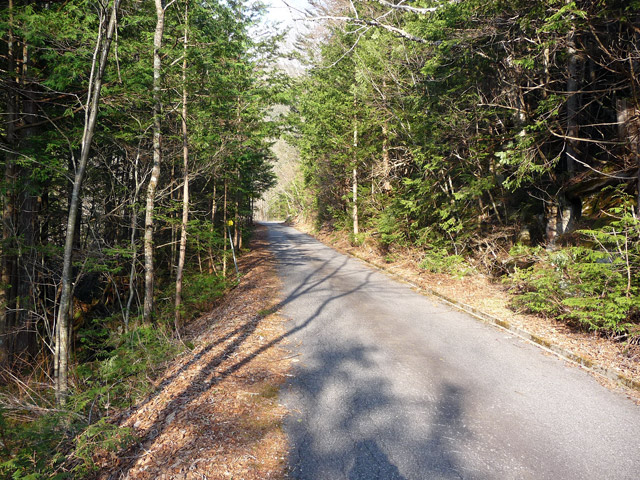 ����X�ѓS���u���I����ԏ�`����m����ԏ�v