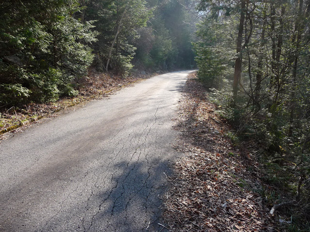 ����X�ѓS���u���I����ԏ�`����m����ԏ�v