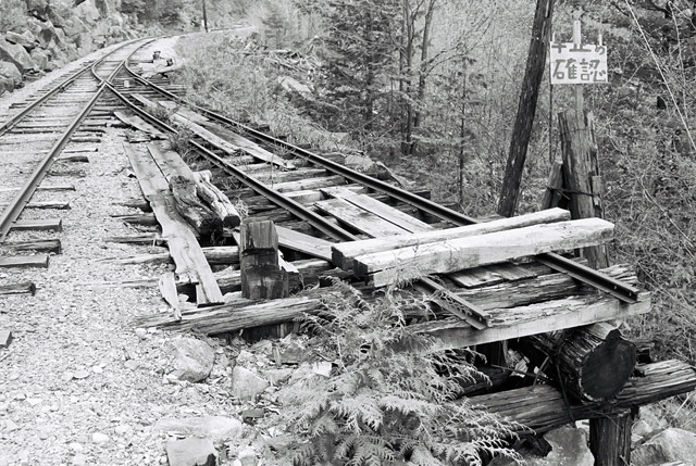 ����X�ѓS���u���I����ԏ�`����m����ԏ�v