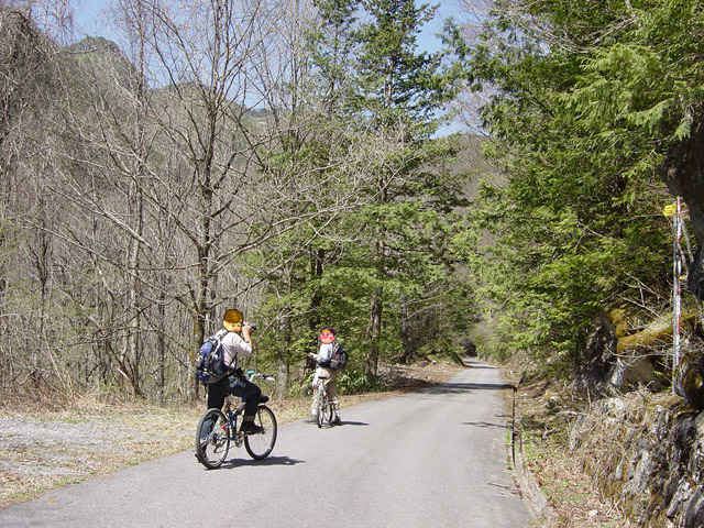 ����X�ѓS���u���I����ԏ�`����m����ԏ�v