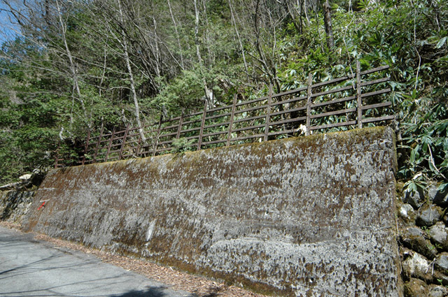 ����X�ѓS���u���I����ԏ�`����m����ԏ�v