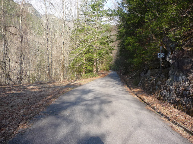 ����X�ѓS���u���I����ԏ�`����m����ԏ�v