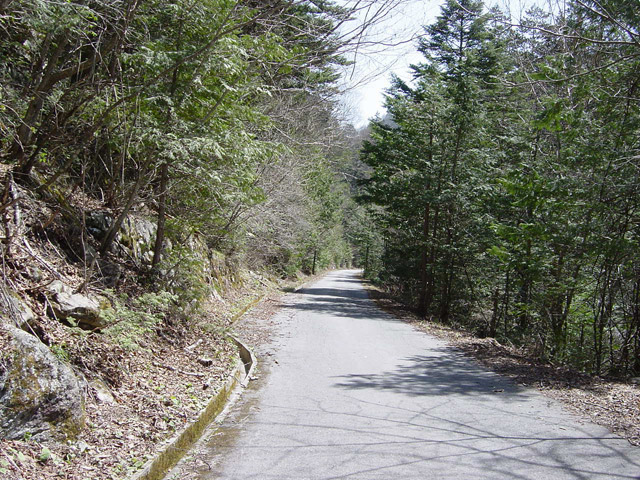 ����X�ѓS���u���I����ԏ�`����m����ԏ�v