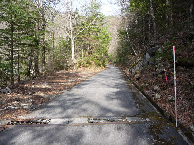 ����X�ѓS���u���I����ԏ�`����m����ԏ�v