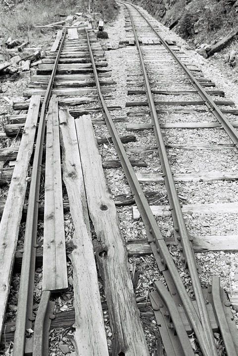 ����X�ѓS���u���I����ԏ�`����m����ԏ�v