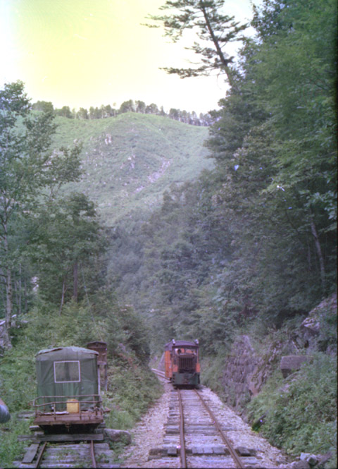 ����X�ѓS���u���I����ԏ�`����m����ԏ�v