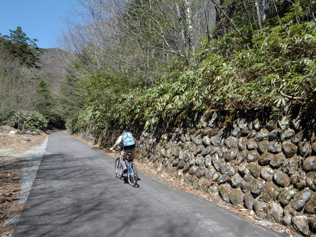 ����X�ѓS���u���I����ԏ�`����m����ԏ�v