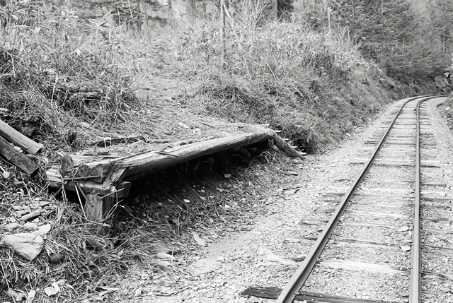 ����X�ѓS���u���I����ԏ�`����m����ԏ�v