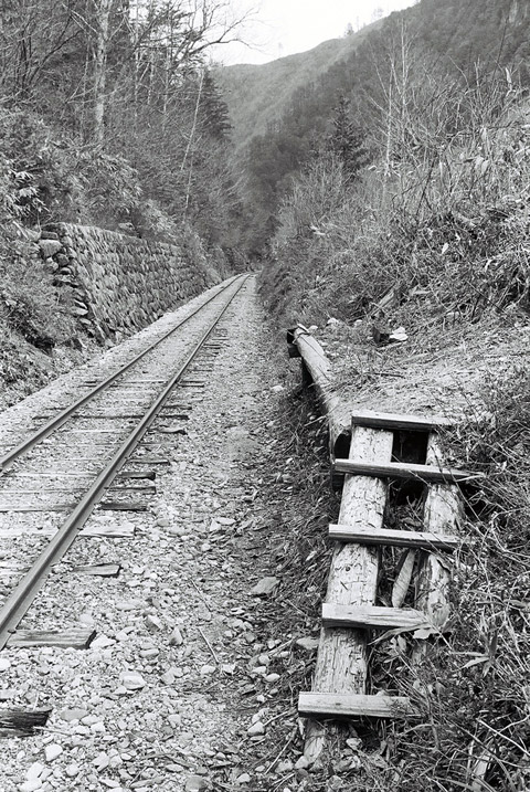 ����X�ѓS���u���I����ԏ�`����m����ԏ�v