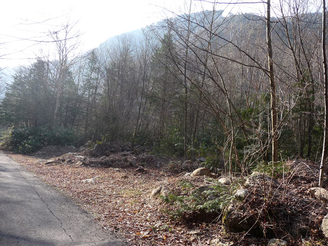 ����X�ѓS���u���I����ԏ�`����m����ԏ�v