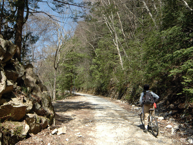 ����X�ѓS���{���u����m����ԏ�`��m����ԏ�v