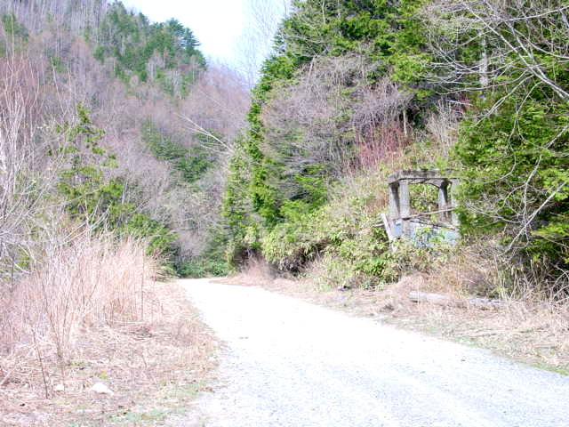 ����X�ѓS��,��m����ԏ�