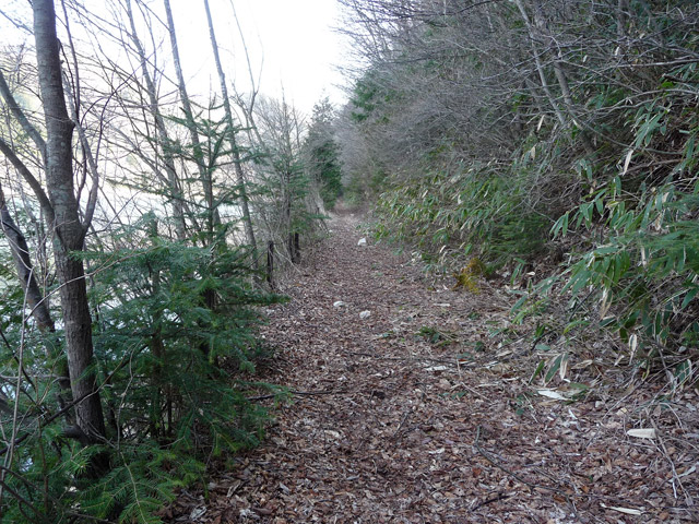 �ؑ]�X�ѓS��,�p����,����ѓS