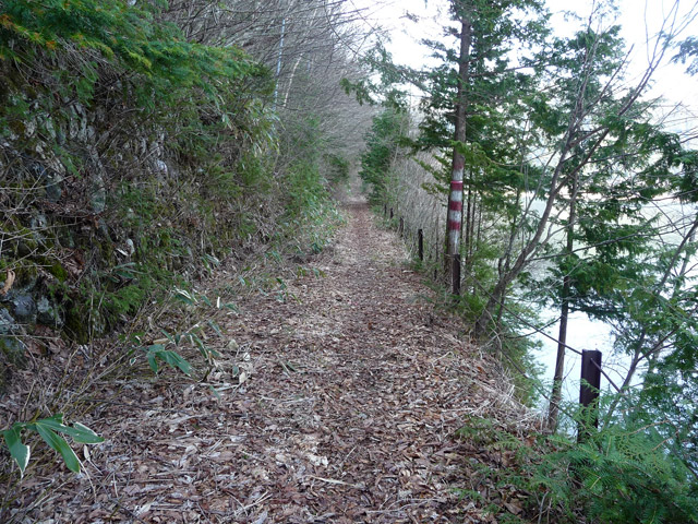 ����X�ѓS��,�p����,�ѓS,����