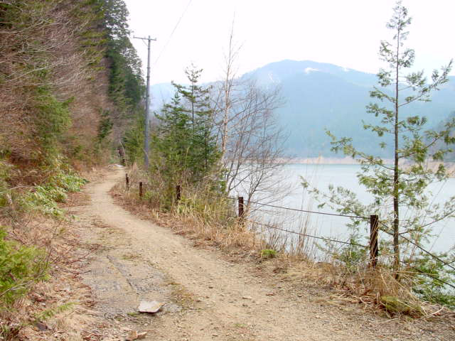 ����X�ѓS��,�p����,�ѓS,����