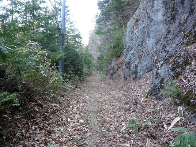 �ؑ]�X�ѓS�������,�p����