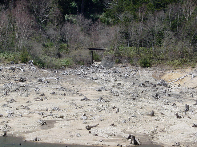 ����X�ѓS��,�p����,�ѓS,�O�Y�_����,����