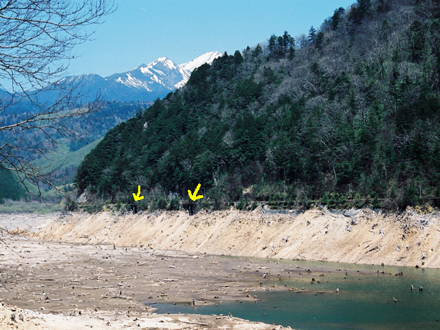 ����X�ѓS��,�p����,�ѓS,�O�Y�_����,����