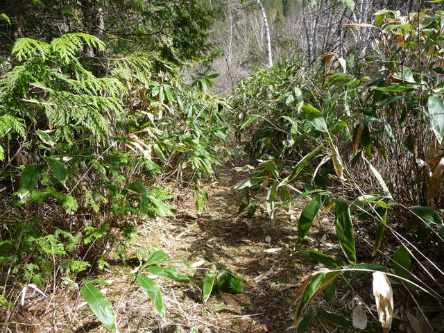 ����X�ѓS��,�p����,�ѓS,�y�Y��ԏ�,�ؑ]�X