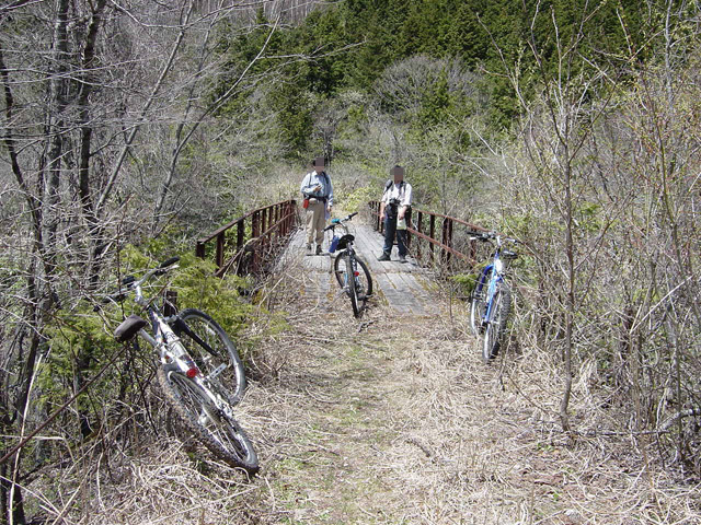 ����X�ѓS��,�p����,�ѓS,�y�Y�{�J����,�O����