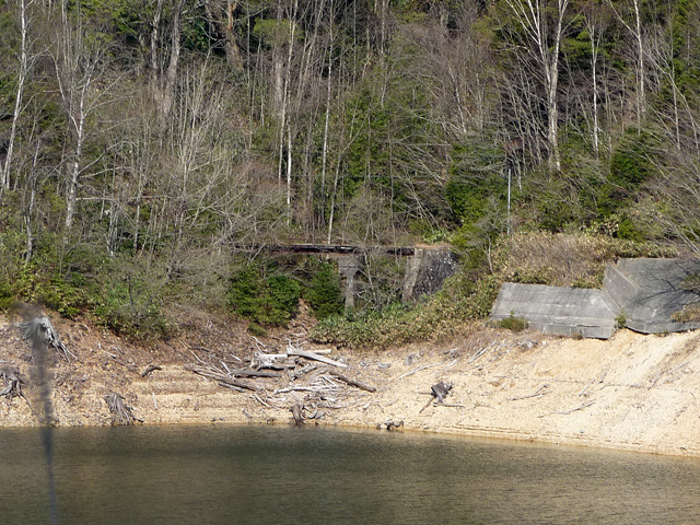 ����X�ѓS��,�p����,�ѓS,�掵������,�K�[�_�[��,�ؑ]�X