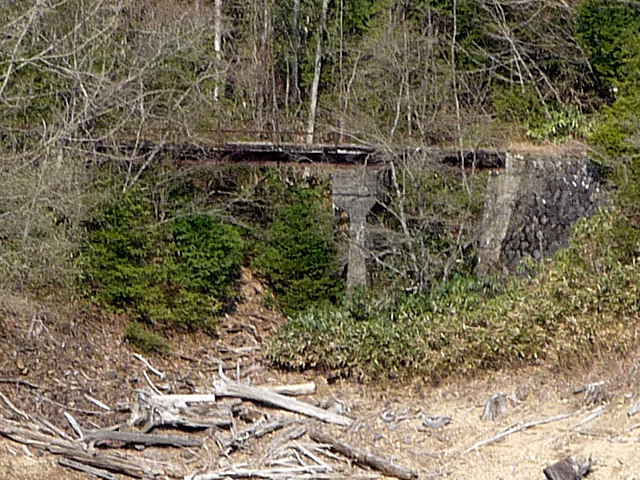 ����X�ѓS��,�p����,�ѓS,�掵������,�K�[�_�[��,���䑳