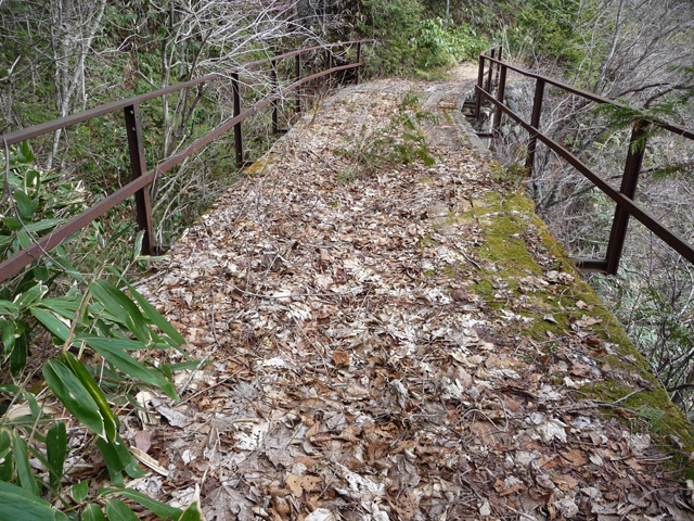 ����X�ѓS��,�p����,�ѓS,�掵������,�h���,����