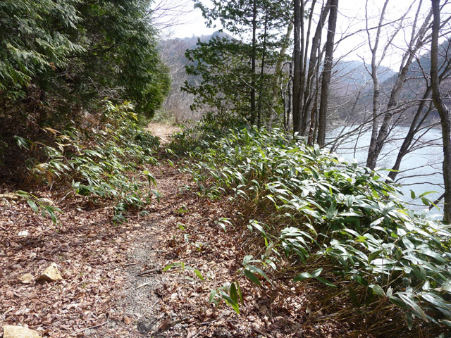 ����X�ѓS��,�p����,�ѓS,�O�Y�_���Δ�,�ؑ]�X