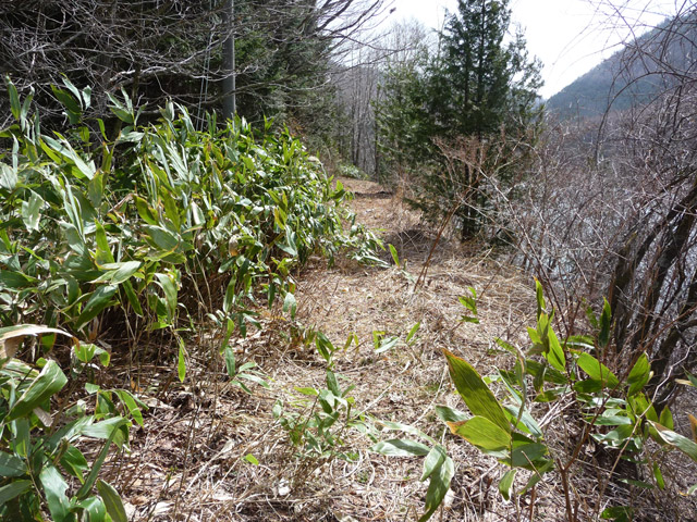 ����X�ѓS��,�p����,�ѓS,�ؑ]�X,����