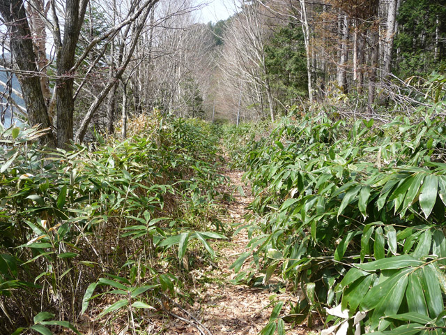 ����X�ѓS��,�p����,�ѓS,�ؑ]�X,�H��,����