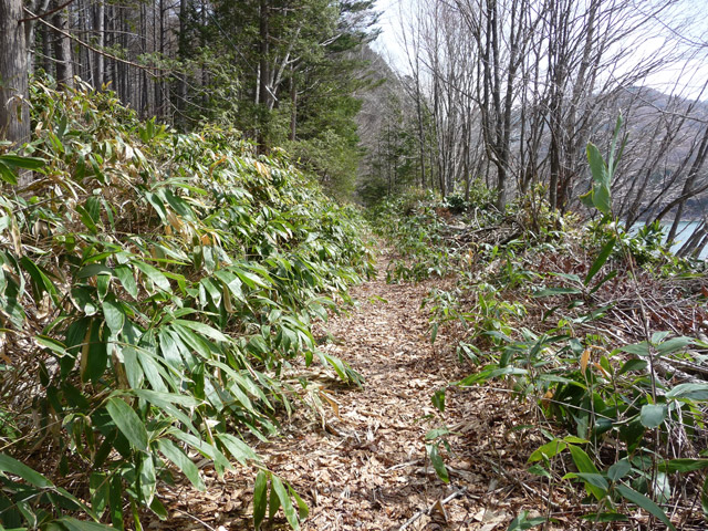 ����X�ѓS��,�p����,�ѓS,�ؑ]�X,�H��,����