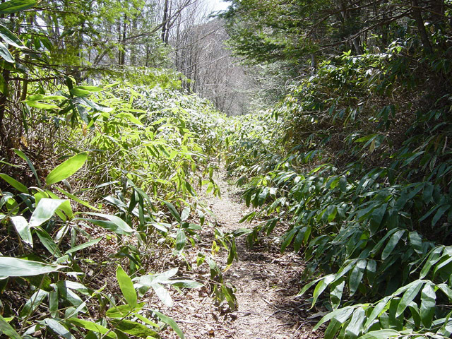 ����X�ѓS��,�p����,�ѓS,�ؑ]�X,�H��,����