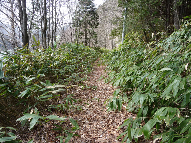 ����X�ѓS��,�p����,�ѓS,�ؑ]�X,�H��,����