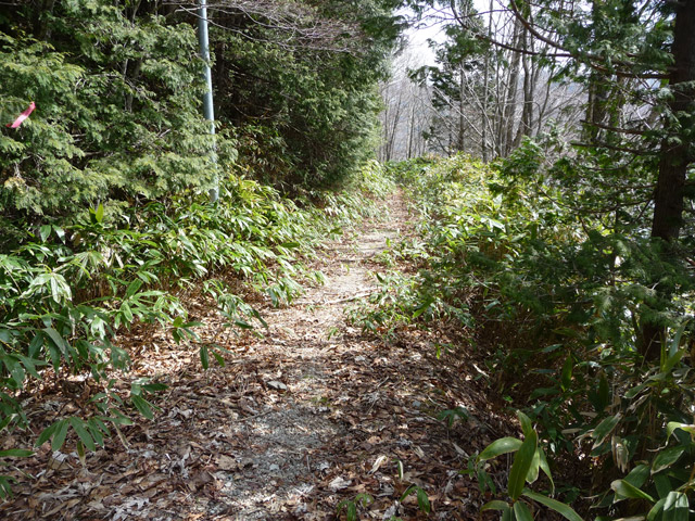 ����X�ѓS��,�p����,�ѓS,�O����,����