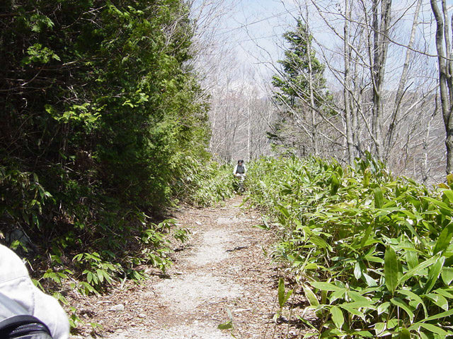 ����X�ѓS��,�p����,�ѓS,�O����,����,��ԎR