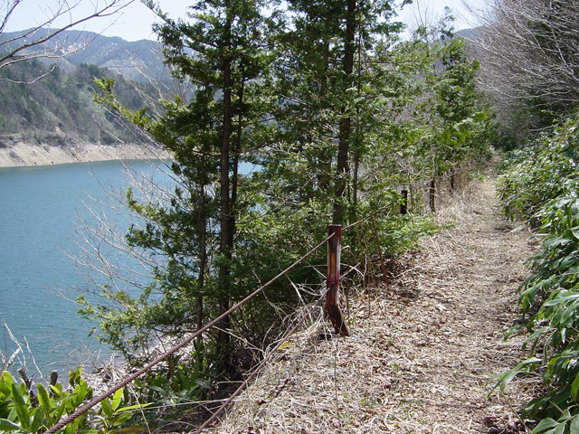 ����X�ѓS��,�p����,�ѓS,�O����,�ؑ]�X