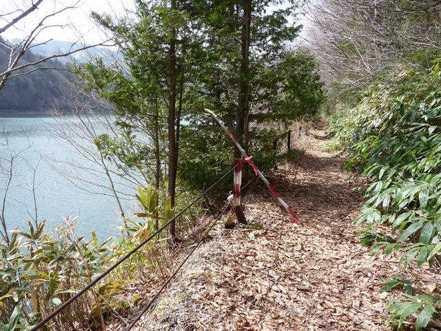 ����X�ѓS��,�p����,�ѓS,�O����,�ؑ]�X